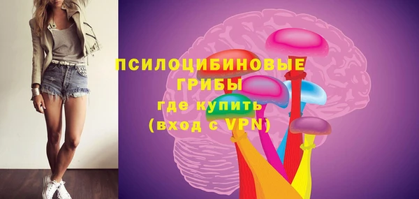 соль курить ск Бородино