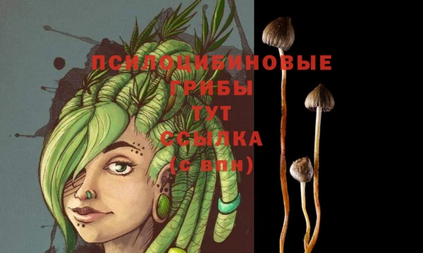 бошки Кущёвская