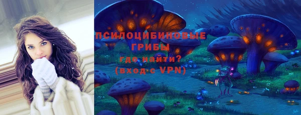 соль курить ск Бородино